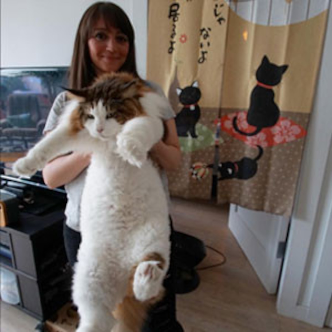 The Newest Crush Is...a 30 Pound Cat E! Online